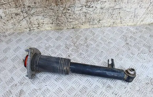 BMW X6 E71 Rear shock absorber/damper 6788512 33526788512