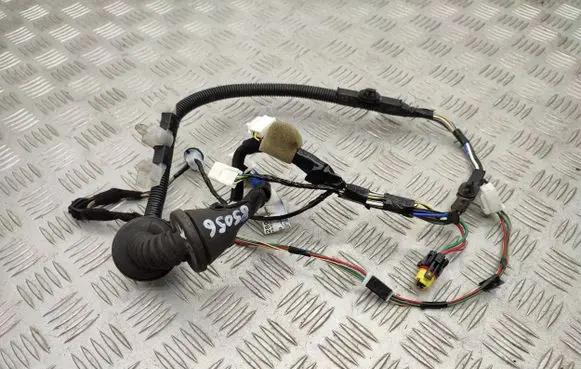 Front door wiring loom
