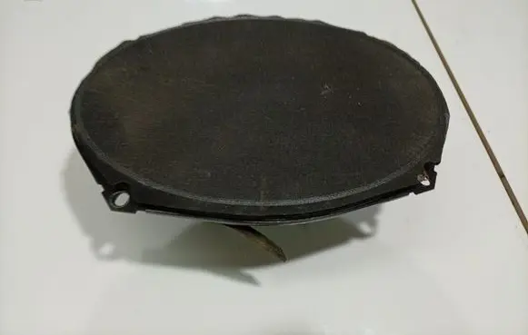 Chrysler Voyager Front door speaker 05081669AA
