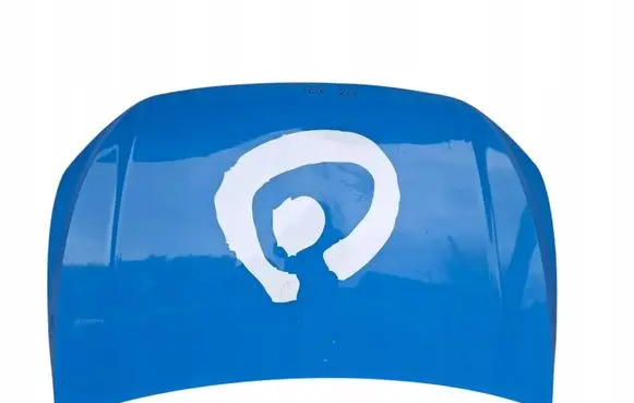 Volkswagen Polo VI Engine bonnet/hood V2VTEILE