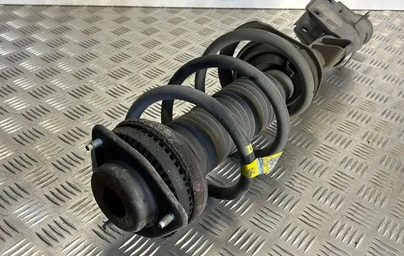 Chrysler Pacifica Front shock absorber with coil spring 