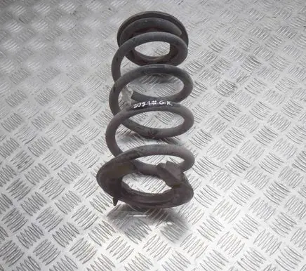 Tesla Model 3 Rear coil spring 104447294A