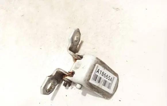 Renault Laguna III Rear door lower hinge
