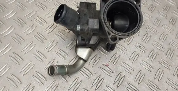 Thermostat/thermostat housing