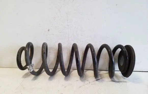 Rear coil spring