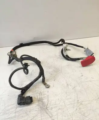 Citroen DS7 Crossback Positive cable (battery) 9819972280