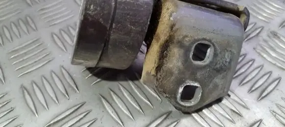Renault Megane II Rear door lower hinge
