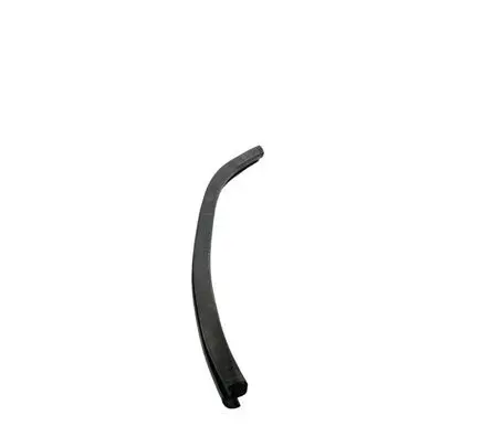 Dodge Charger Rear door rubber seal (on body) 