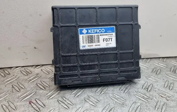 Hyundai Santa Fe Engine control unit/module 954403A390