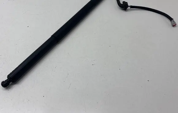 Tailgate strut
