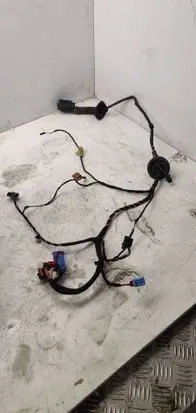 Front door wiring loom