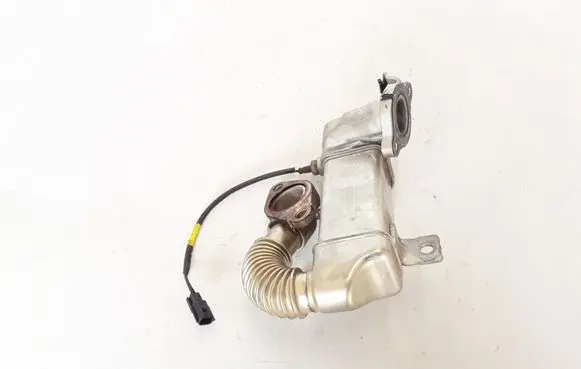 Renault Megane III EGR valve cooler