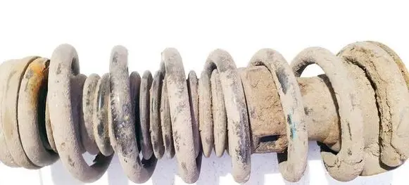 Rear coil spring