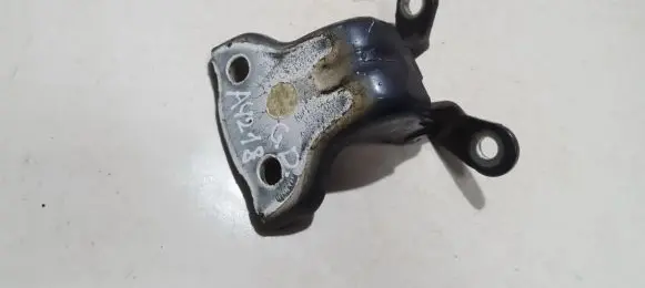 Chevrolet Captiva Rear door lower hinge