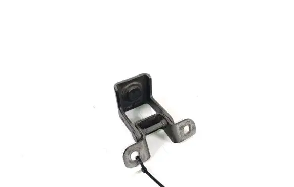 Dacia Sandero III Tailgate/trunk/boot hinge 844002173R