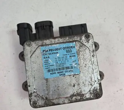 Peugeot 1007 Power steering control unit/module 9655460380 Q1T19076MZE 6900000589