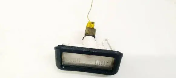 Number plate light