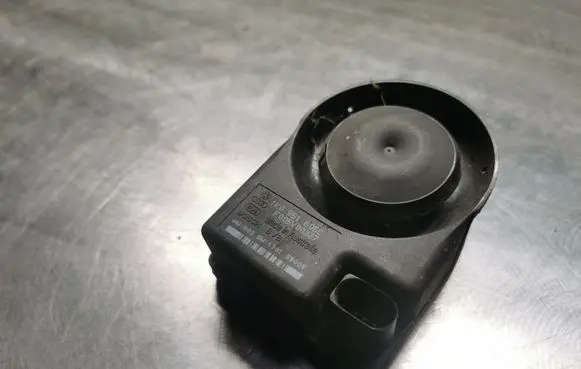 Alarm system siren