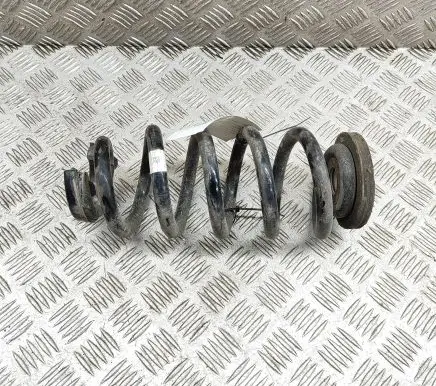 Skoda Enyaq iV Rear coil spring 1EA511103E