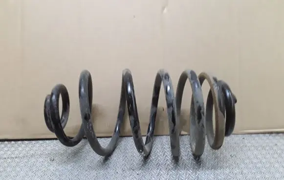 Rear coil spring