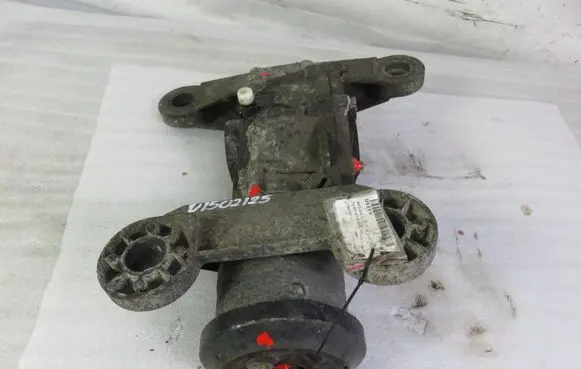 Renault Scenic I Rear differential J641340041