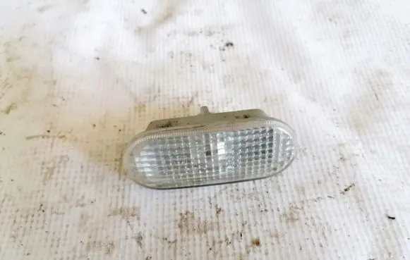Front fender indicator light