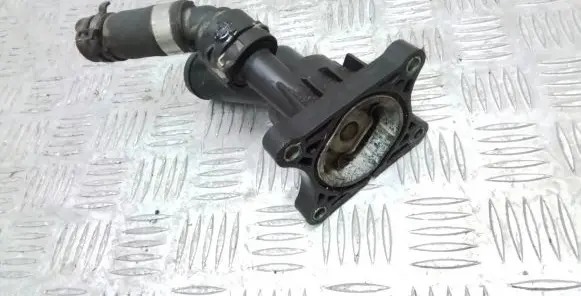 Thermostat/thermostat housing