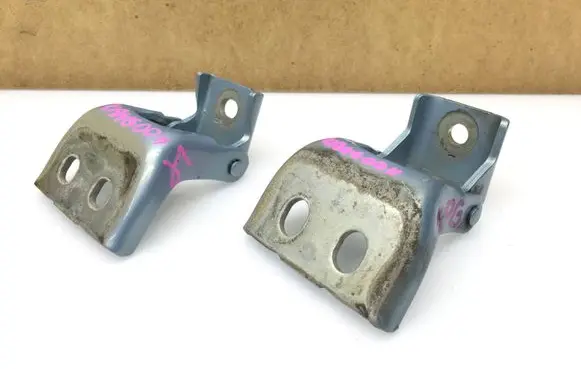 Renault Kangoo II Front door hinges set 48006H2712
