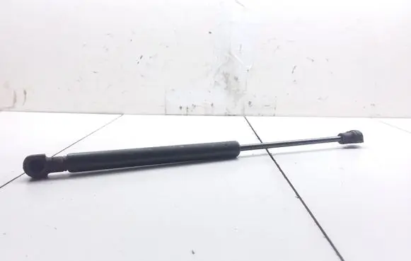 Tailgate/trunk strut/damper