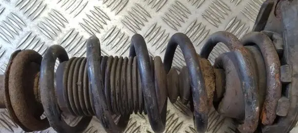 Rear coil spring