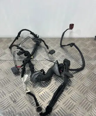 Audi A8 S8 D3 4E Front door wiring loom 4E0971029CF