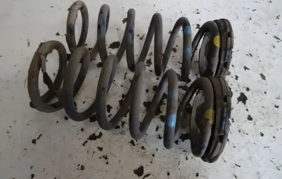 Opel Antara Rear coil spring SPR22