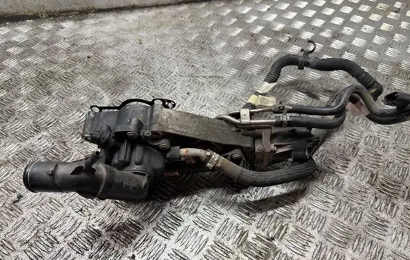 Jeep Compass EGR valve cooler 55261579