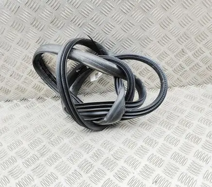 Renault Arkana Rubber seal front coupe door 808331013R