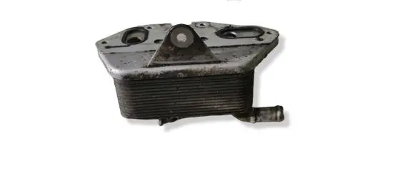 Audi A6 S6 C6 4F Oil filter mounting bracket 06E117021G