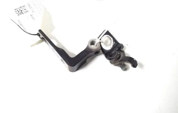 Rear door lower hinge