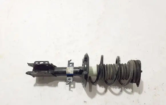 Renault Scenic E-Tech V Rear shock absorber/damper 562109384R