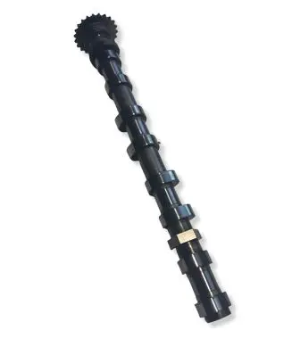Opel Zafira C Camshaft 5548823901 WJ02010216