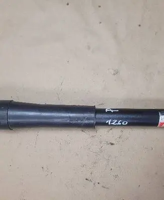 Renault Laguna II Rear shock absorber/damper 553803R6226758