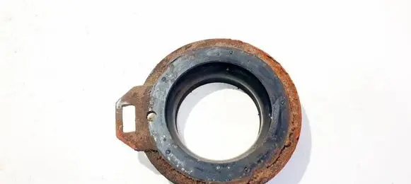 Coil spring mount