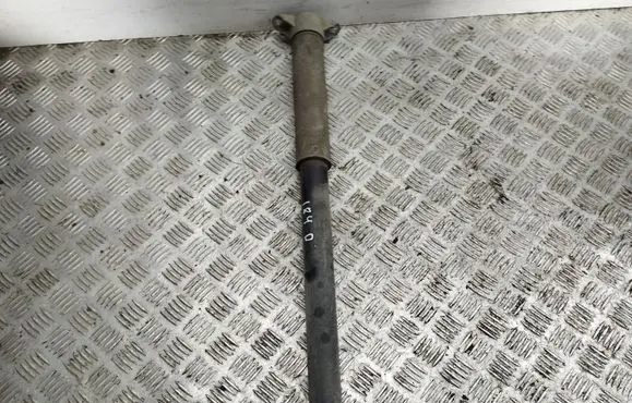 Ford Focus Rear shock absorber/damper