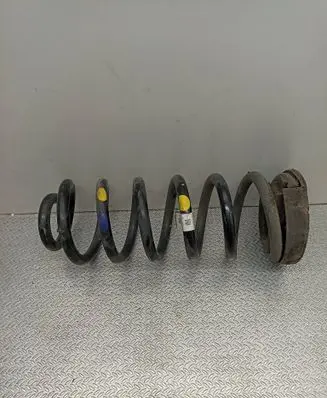 Rear coil spring