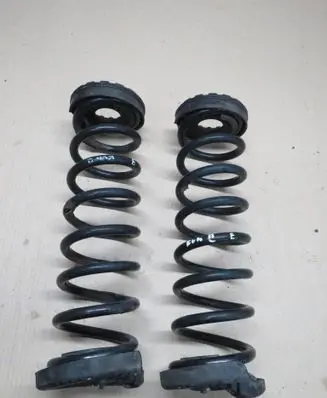 Ford Kuga II Rear coil spring 