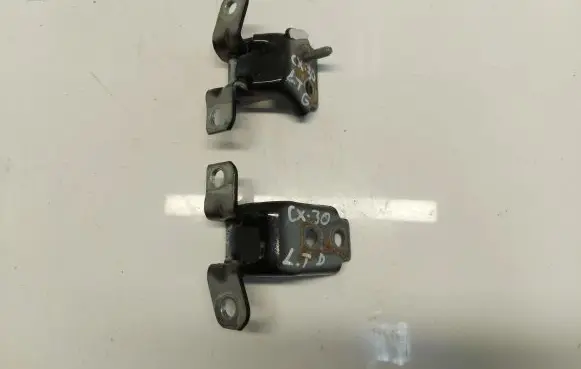 Rear door lower hinge