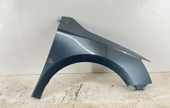 Skoda Fabia Mk3 (NJ) Fender