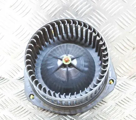 Chevrolet Trans Sport Heater fan/blower 52472567