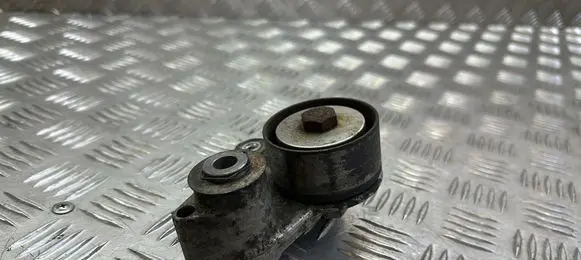 Suzuki Grand Vitara II Alternator belt tensioner 