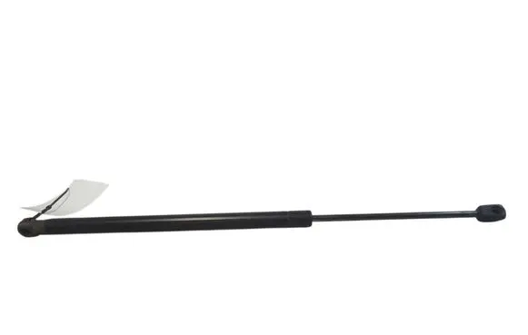 Tailgate/trunk strut/damper