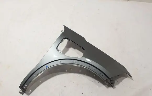 Renault Scenic E-Tech V Fender 631003208R