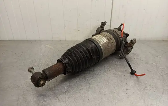 Volkswagen Touareg II Rear shock absorber/damper 7P6616019G